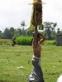 2007 07 17 BALI 0023
